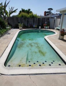 Green Pool Services